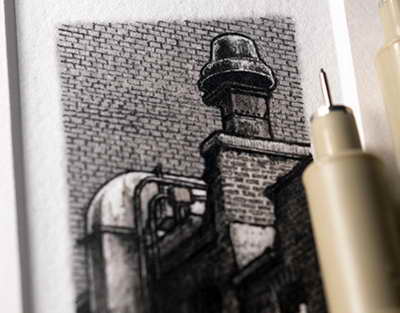 Azərbaycanda donuzlar çoxalır – Bölgələr üzrə RƏQƏMLƏR