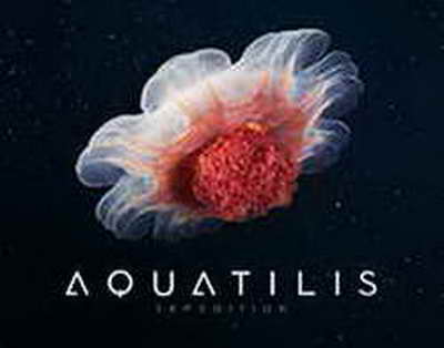 Aprelin ən uğurlu bürcləri