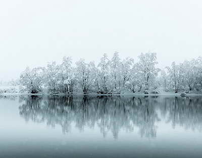“Oson pul” topish niyati urushga yetakladi