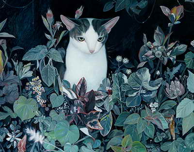 Migrant kutilmagan falokat tufayli urushdan qutulib qoldi